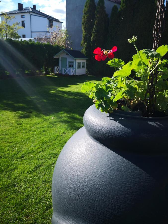 Podlaski Bon Turystyczny Emka Noclegi Apartamenty Augustów Esterno foto